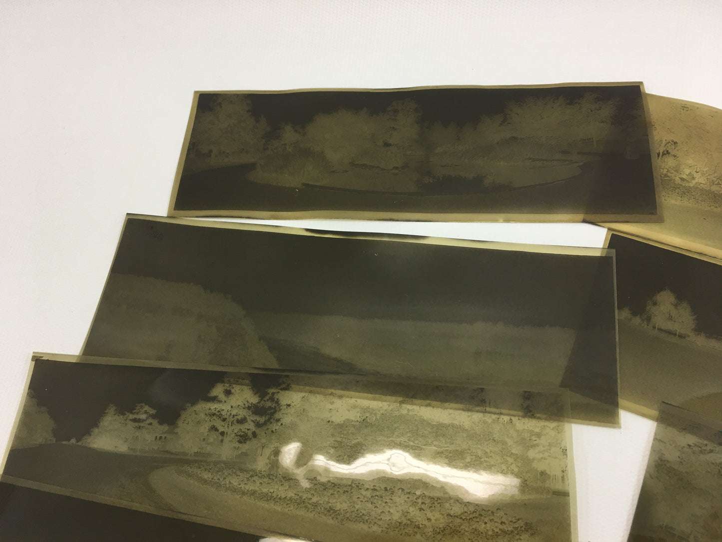 Antique Photo Negatives Detroit Michigan Panoramic Opera House Yacht Club Belle Isle Campus Martius Park People Cars Buildings Historical