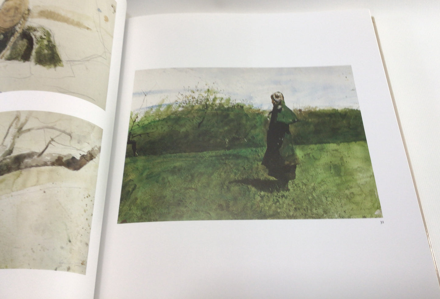 Art Book Andrew Wyeth: The Helga Pictures Hardcover Color Illustrated