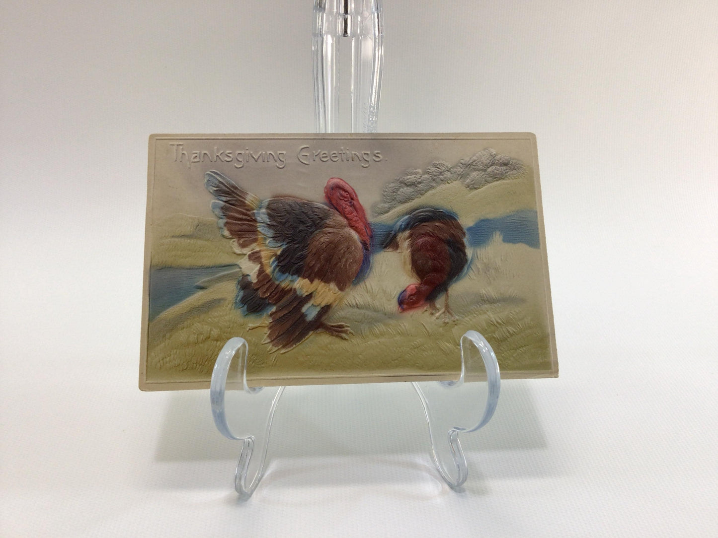 Antique Thanksgiving Novelty Postcard Embossed Airbrush Wild Turkeys on Hilltop