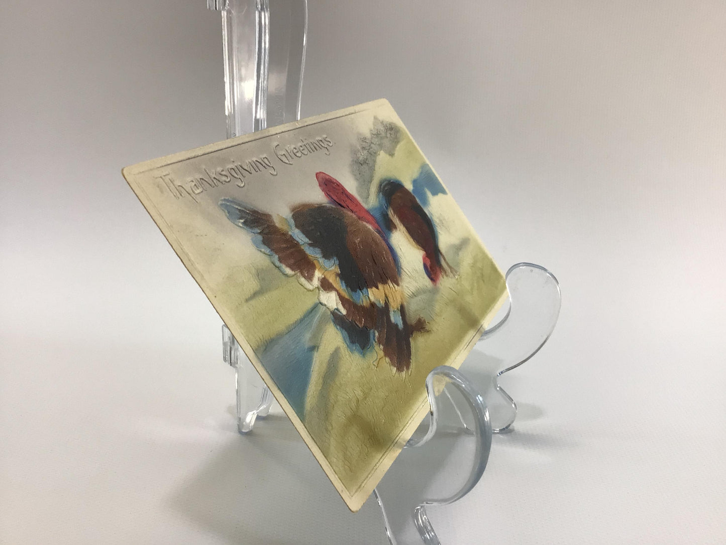 Antique Thanksgiving Novelty Postcard Embossed Airbrush Wild Turkeys on Hilltop