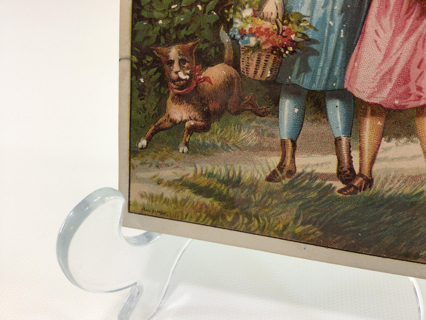 Antique Edwardian Era Trade Card Woolson Spice Company Lion Coffee Advertising Ephemera