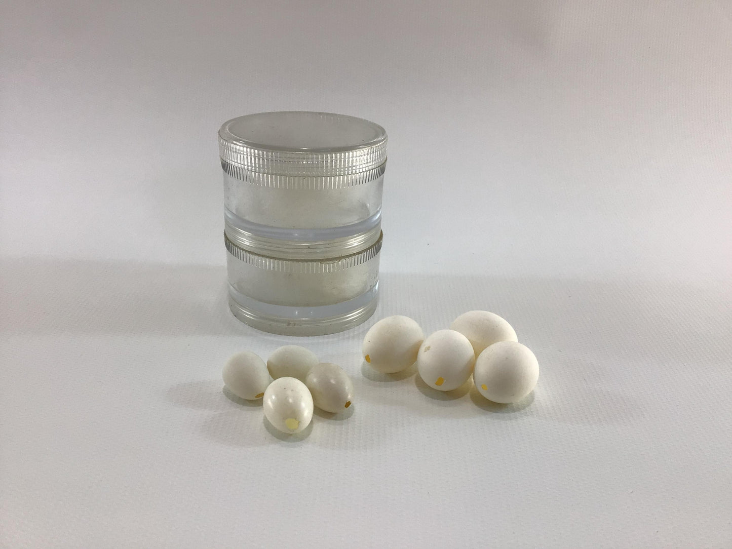 Hand Blown Miniature Bird Egg Shells for Arts Crafts Mixed Media Art Projects