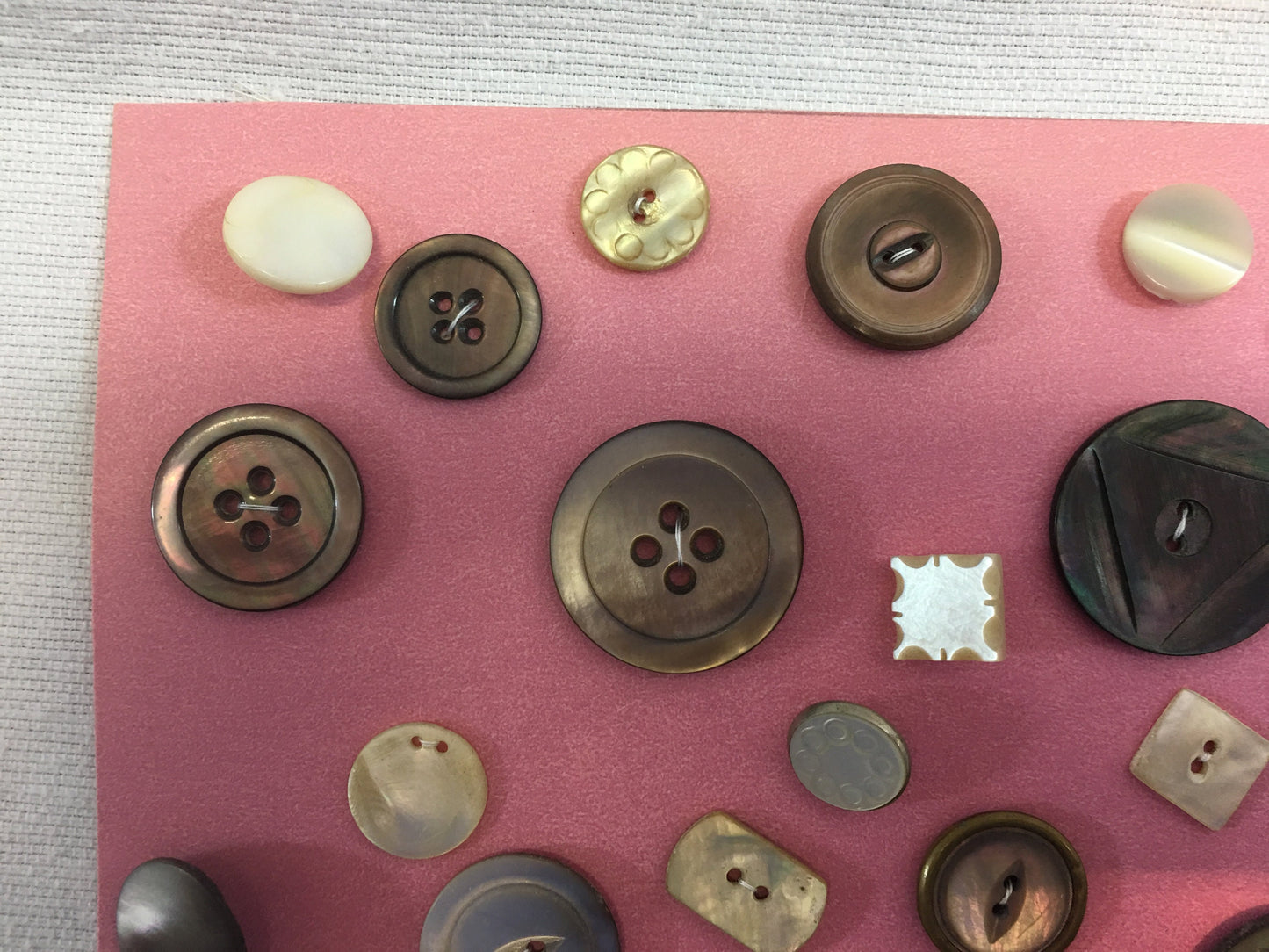 Button Collection Card Antique Vintage Variety of MOP Mother of Pearl