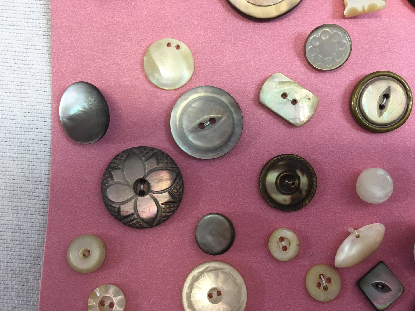 Button Collection Card Antique Vintage Variety of MOP Mother of Pearl