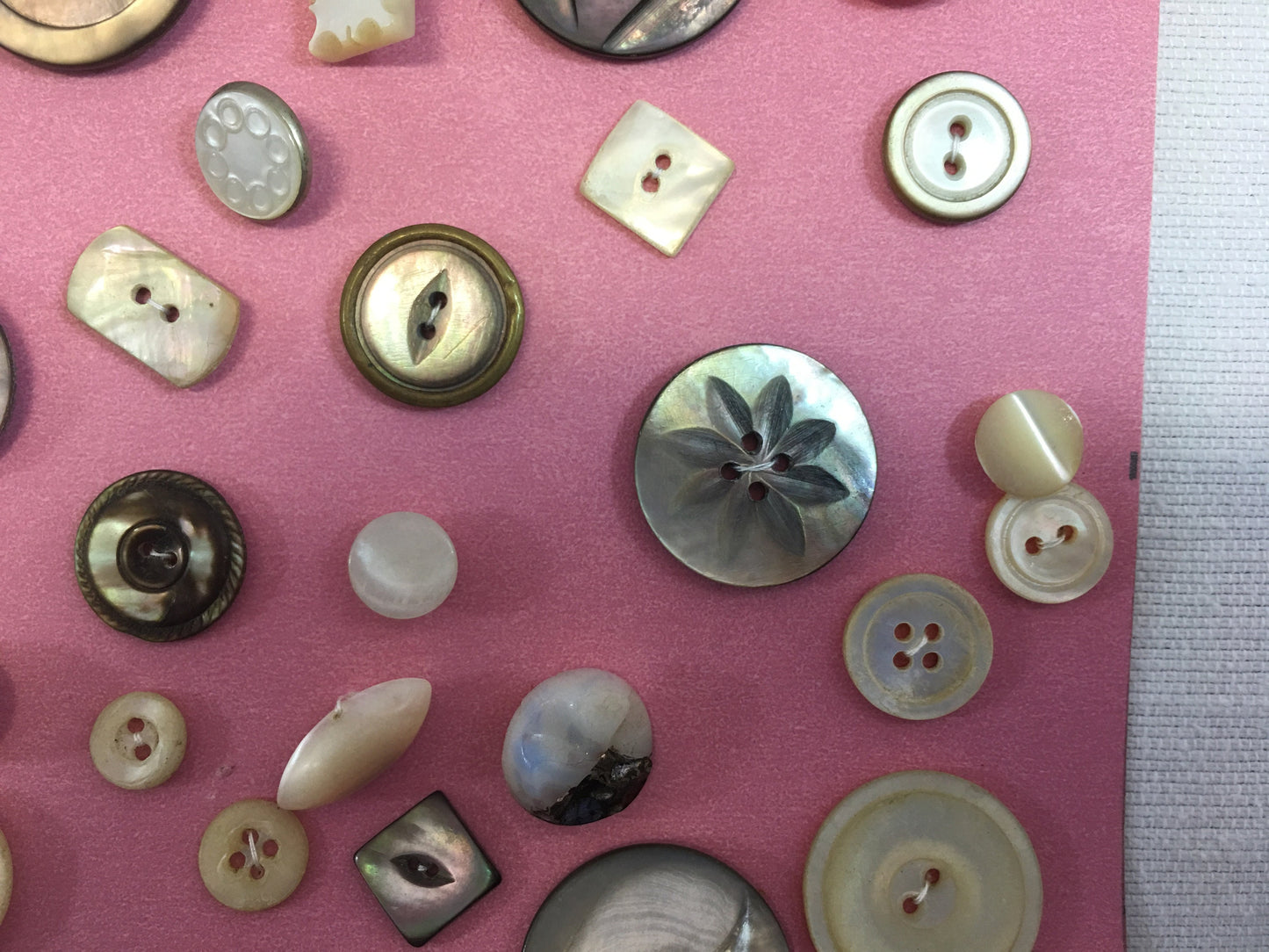 Button Collection Card Antique Vintage Variety of MOP Mother of Pearl