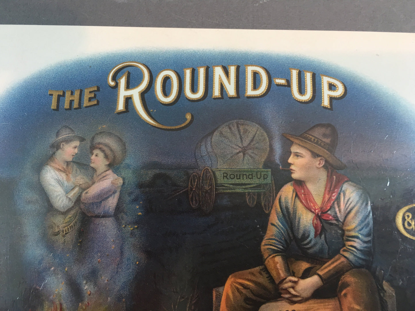 Vintage Round-Up Cigar Box Label Celestino Costello & Co