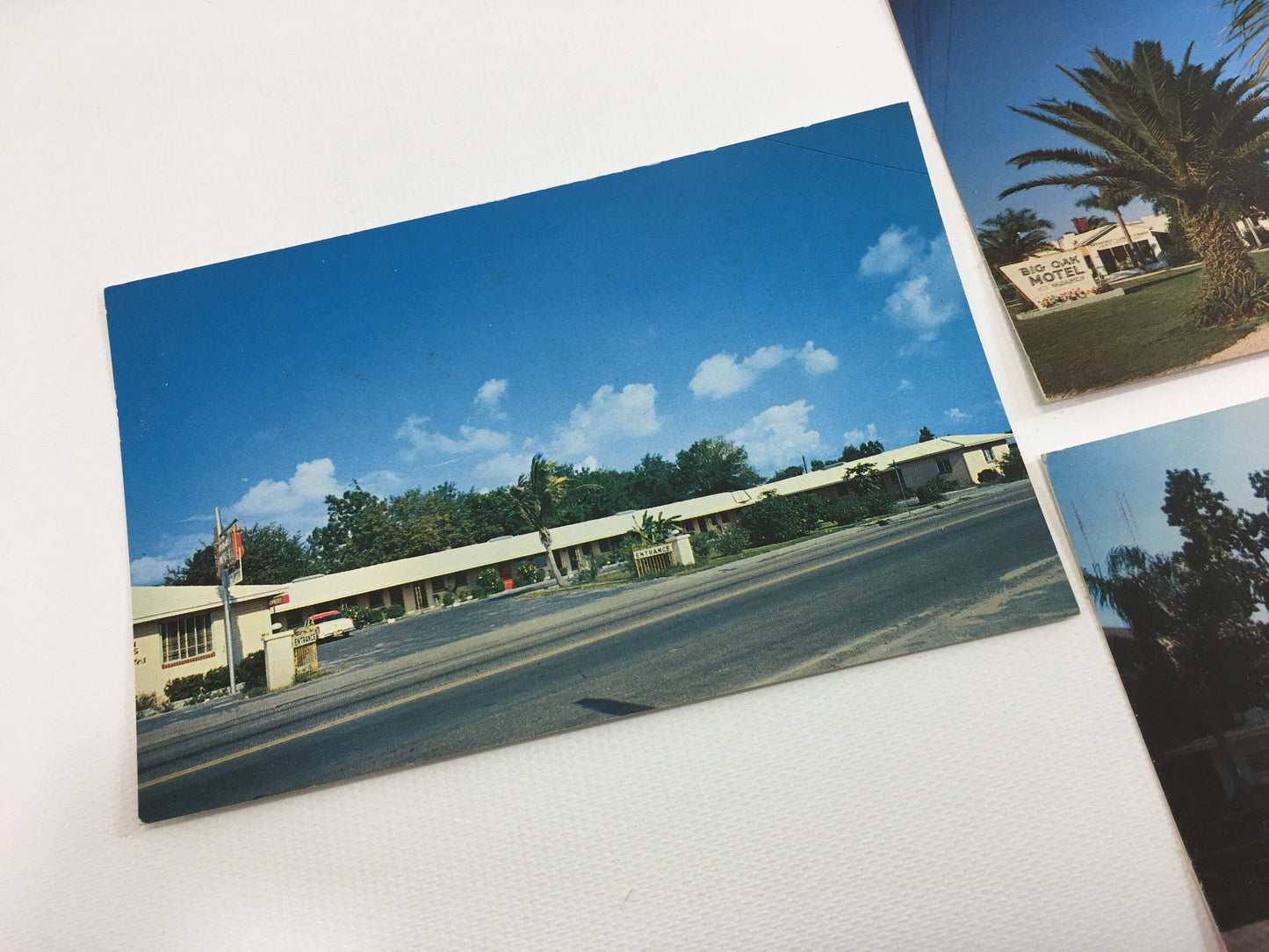 Florida Souvenir Postcards Vintage photographs of FL Motels St Petersburg Lake Wales Tampa