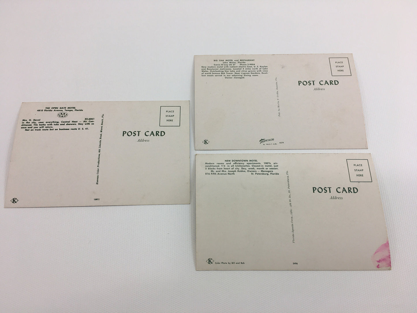 Florida Souvenir Postcards Vintage photographs of FL Motels St Petersburg Lake Wales Tampa