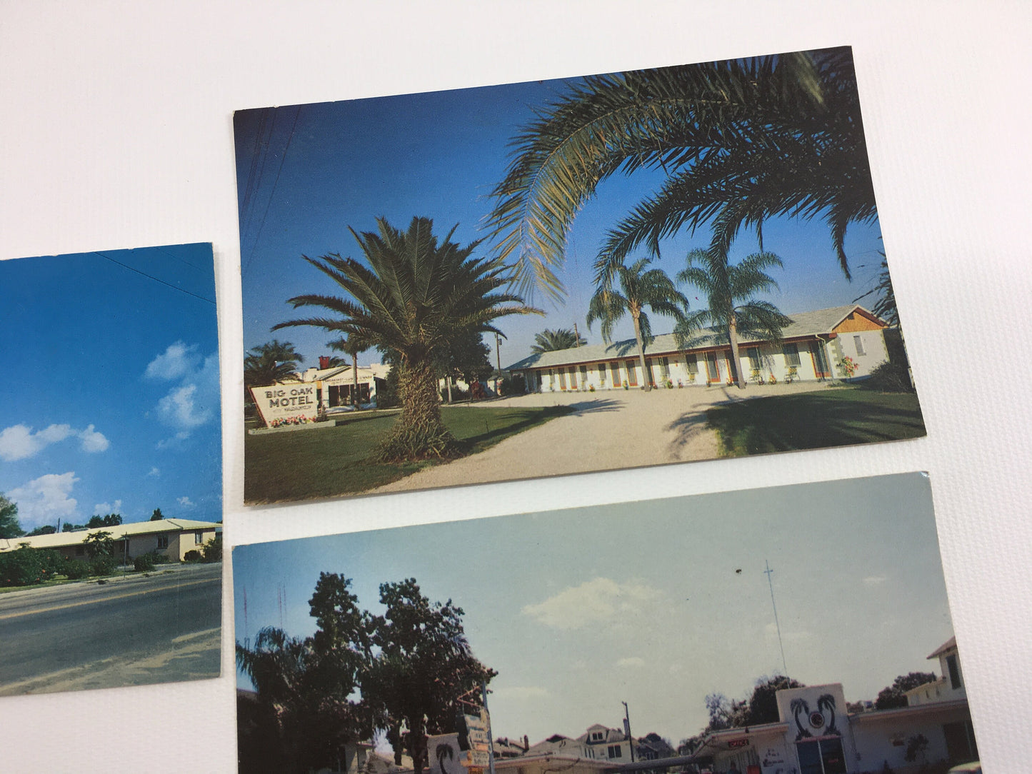 Florida Souvenir Postcards Vintage photographs of FL Motels St Petersburg Lake Wales Tampa