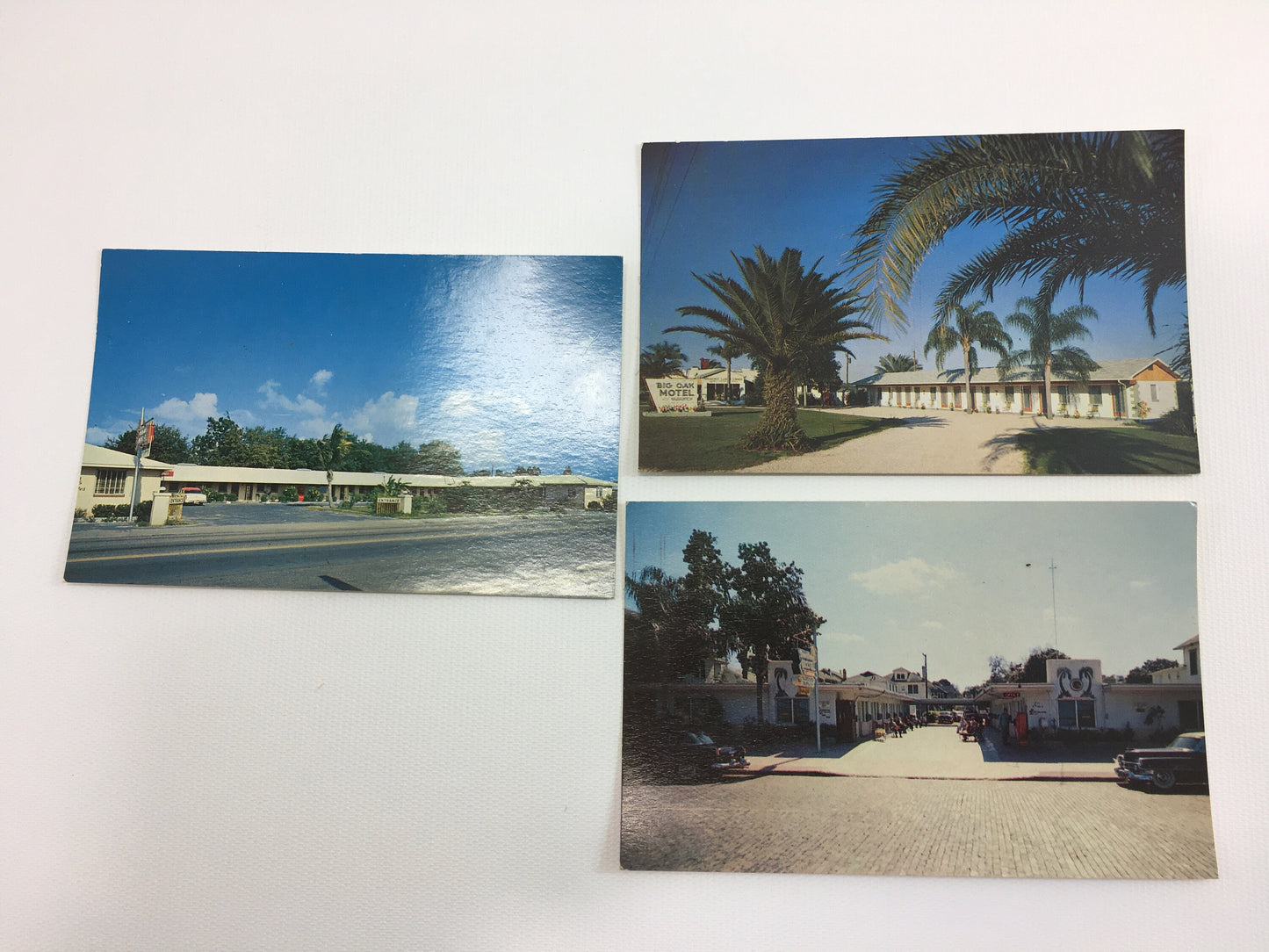 Florida Souvenir Postcards Vintage photographs of FL Motels St Petersburg Lake Wales Tampa