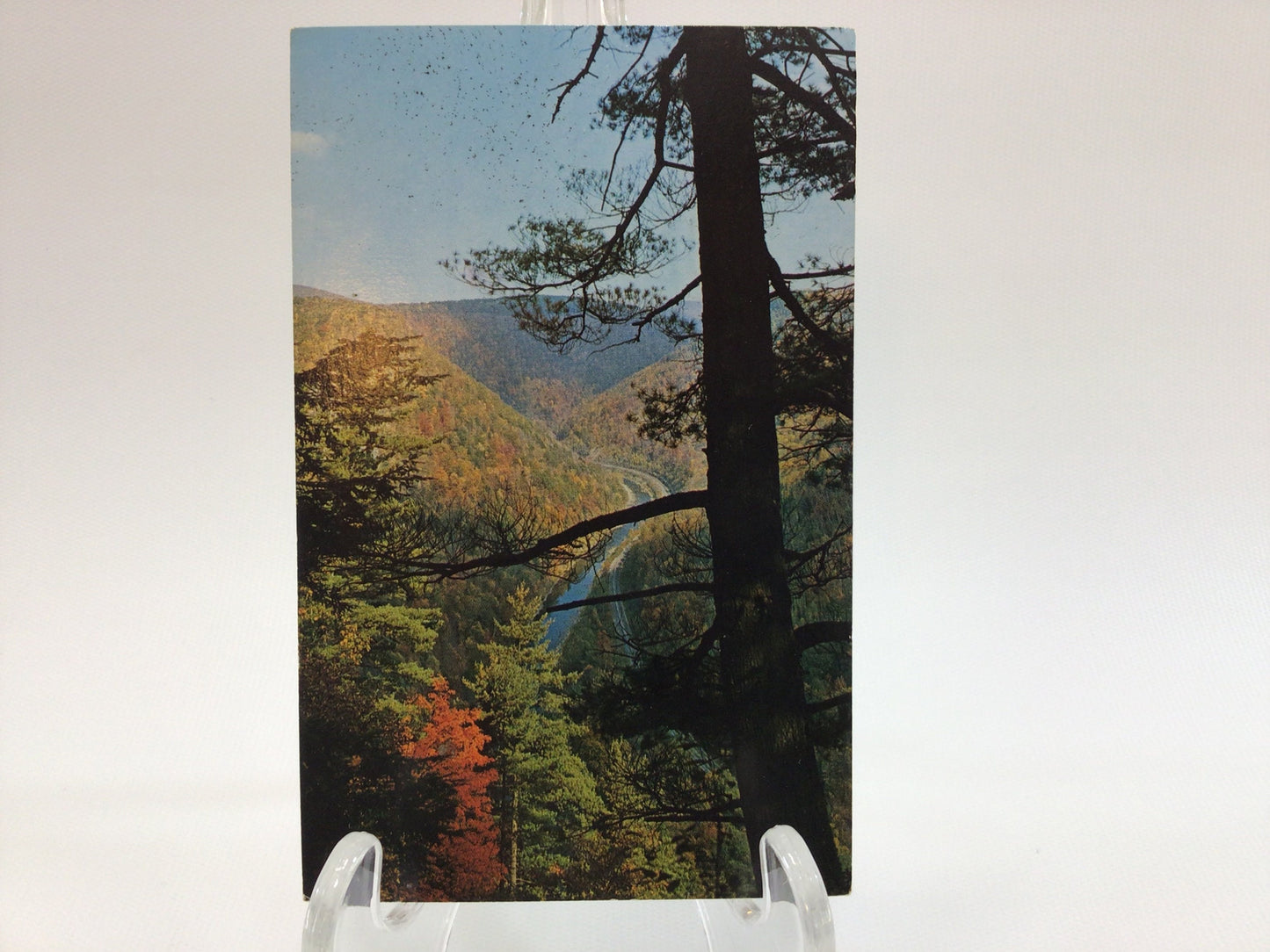 Vintage Postcard Colton Point Pennsylvania