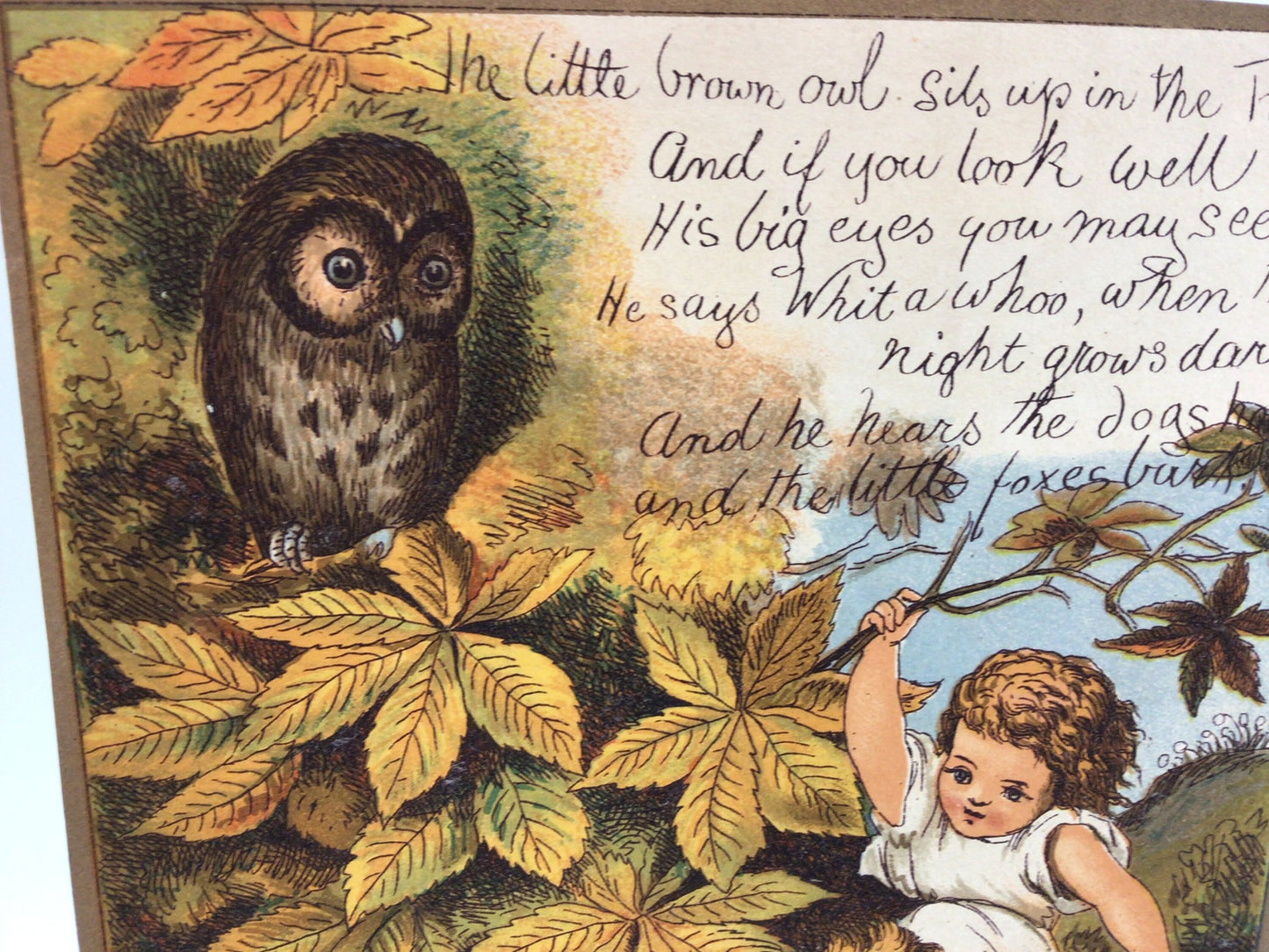 Little Brown Owl Rhyme Antique Illustration Children's Song Original Print