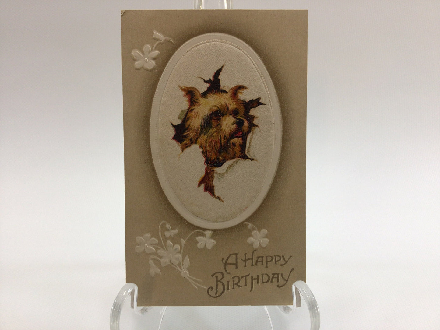 Birthday Postcard Antique Post Card with Shih Tzu Dog Birthday Card Ephemera