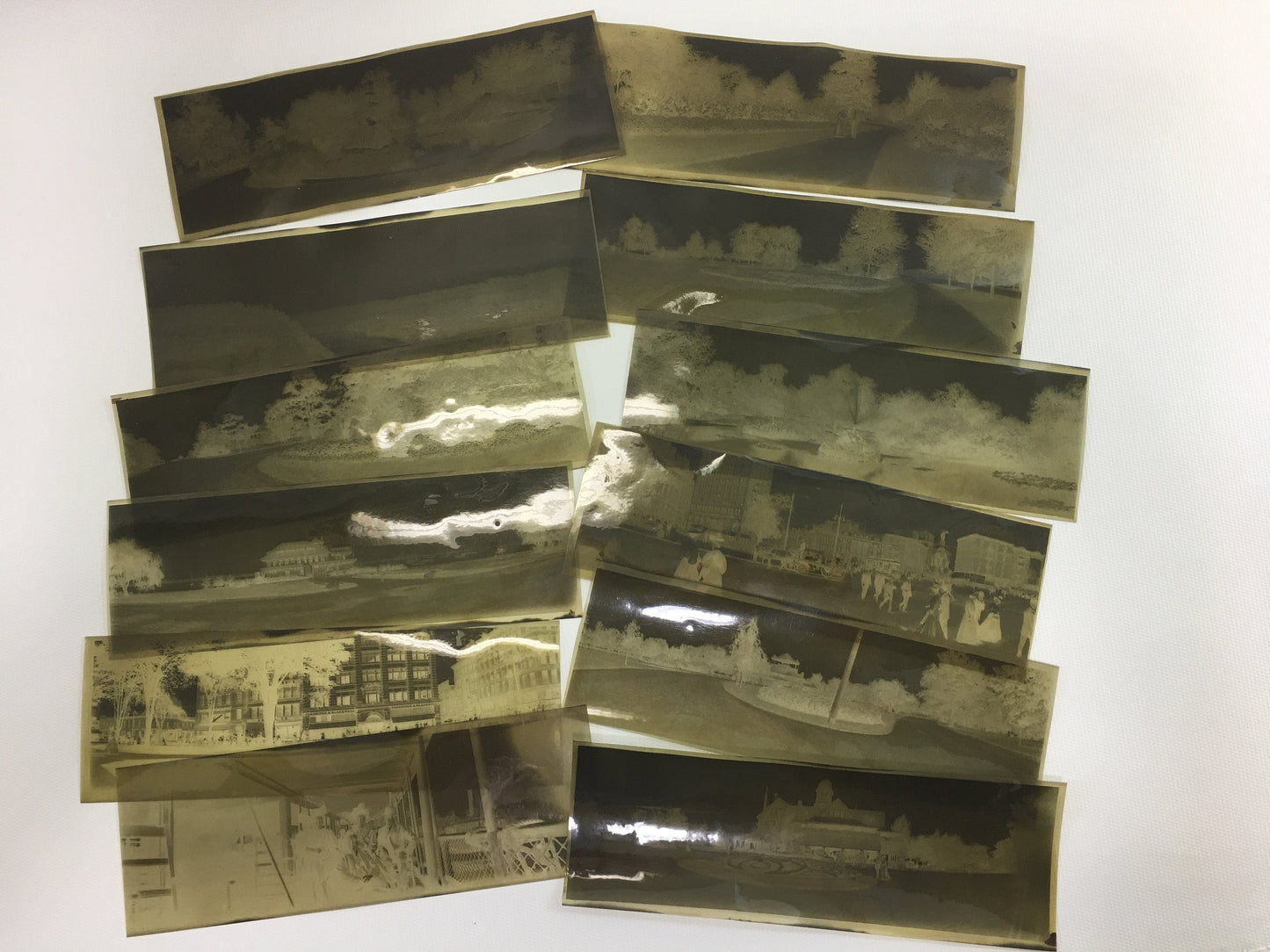 Antique Photo Negatives Detroit Michigan Panoramic Opera House Yacht Club Belle Isle Campus Martius Park People Cars Buildings Historical
