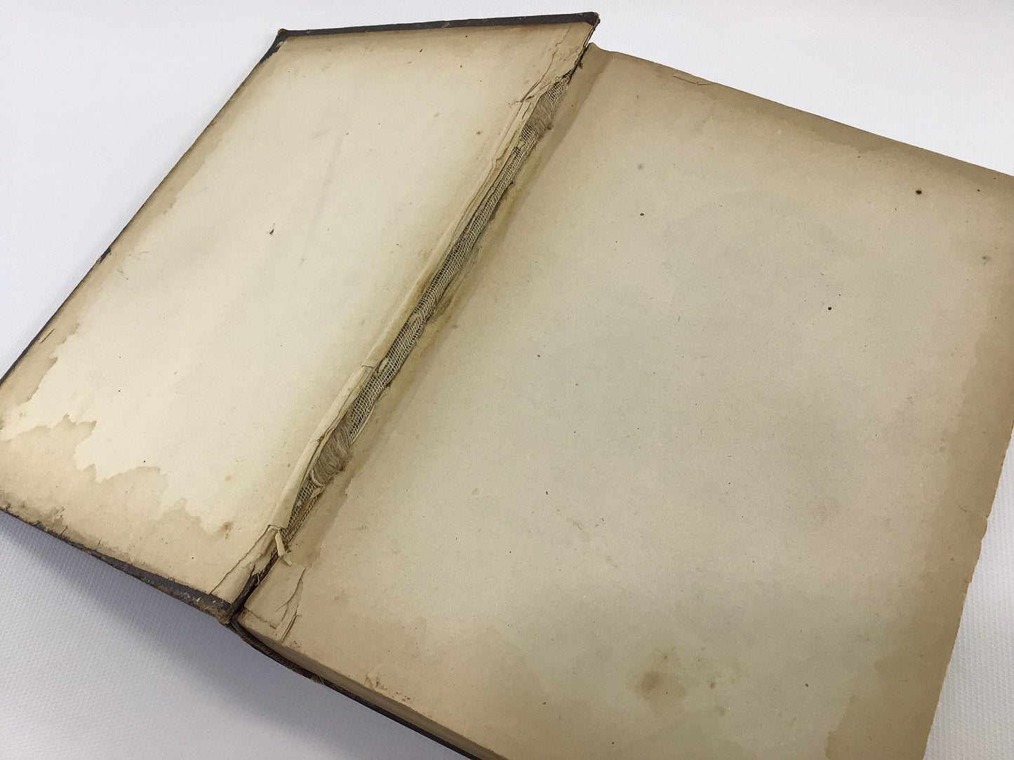 Antique Cookbook Dr. Chase's Receipt Book Copyright 1888 Written in German