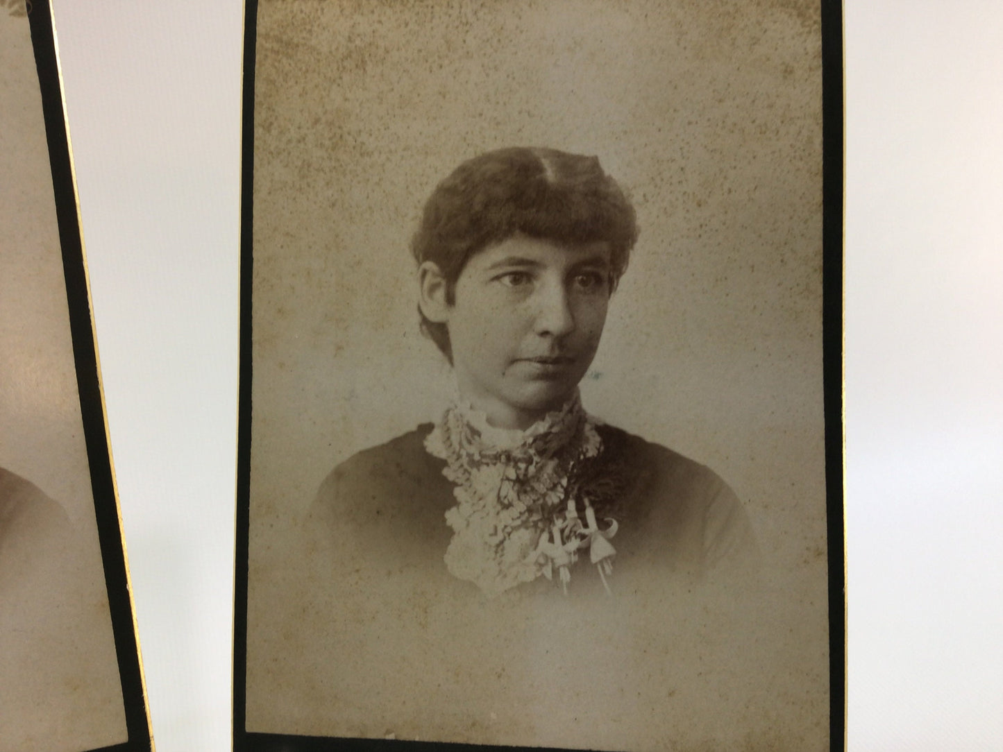Cabinet Card CDV Photograph Victorian 19th Century Family Portraits Charlotte Michigan