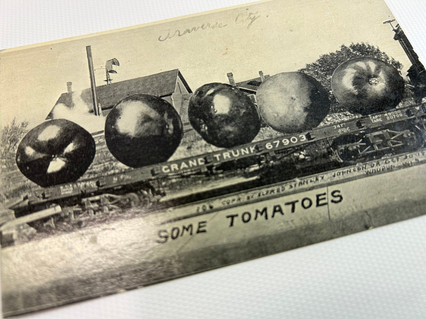 RPPC Exaggerated Tall Tale Post Card Black White Real Photo Exaggeration Tomatoes Grand Trunk Railroad Traverse City Michigan Series 102