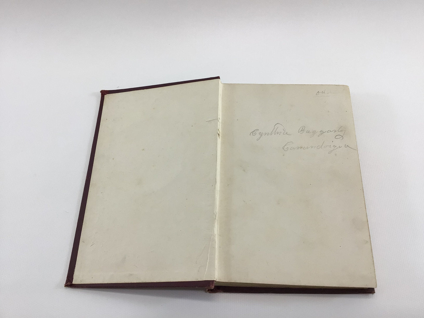 Antique Catholic Novel The Rector of St Mary's by Mary J Holmes Red Hardcover Embossed Hurst Publishers