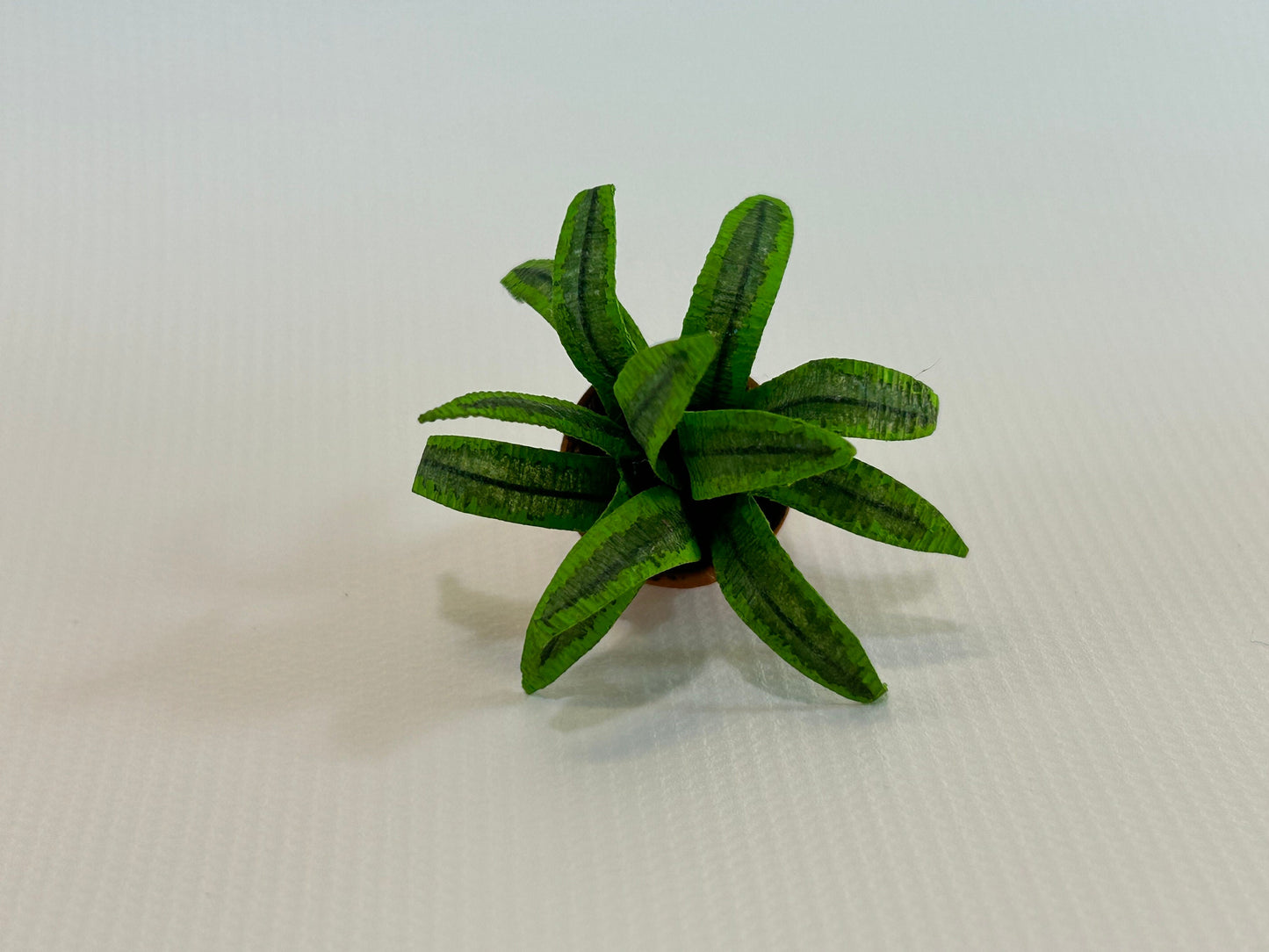 Handmade Dollhouse Miniature Plant Dracaena Lemon Lime Edges in Terra Cotta Pot Home Decor 1:12 Scale Artisan Made