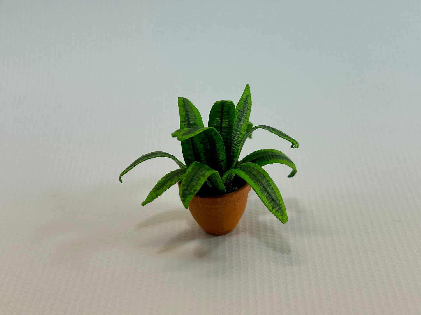 Handmade Dollhouse Miniature Plant Dracaena Lemon Lime Edges in Terra Cotta Pot Home Decor 1:12 Scale Artisan Made