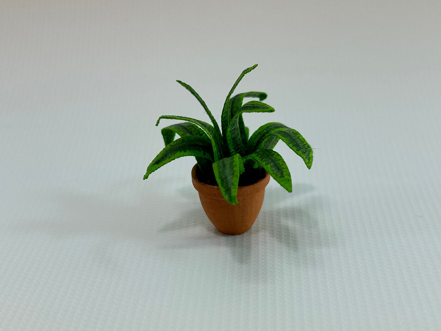 Handmade Dollhouse Miniature Plant Dracaena Lemon Lime Edges in Terra Cotta Pot Home Decor 1:12 Scale Artisan Made