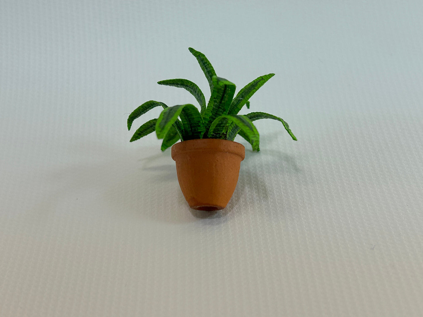 Handmade Dollhouse Miniature Plant Dracaena Lemon Lime Edges in Terra Cotta Pot Home Decor 1:12 Scale Artisan Made