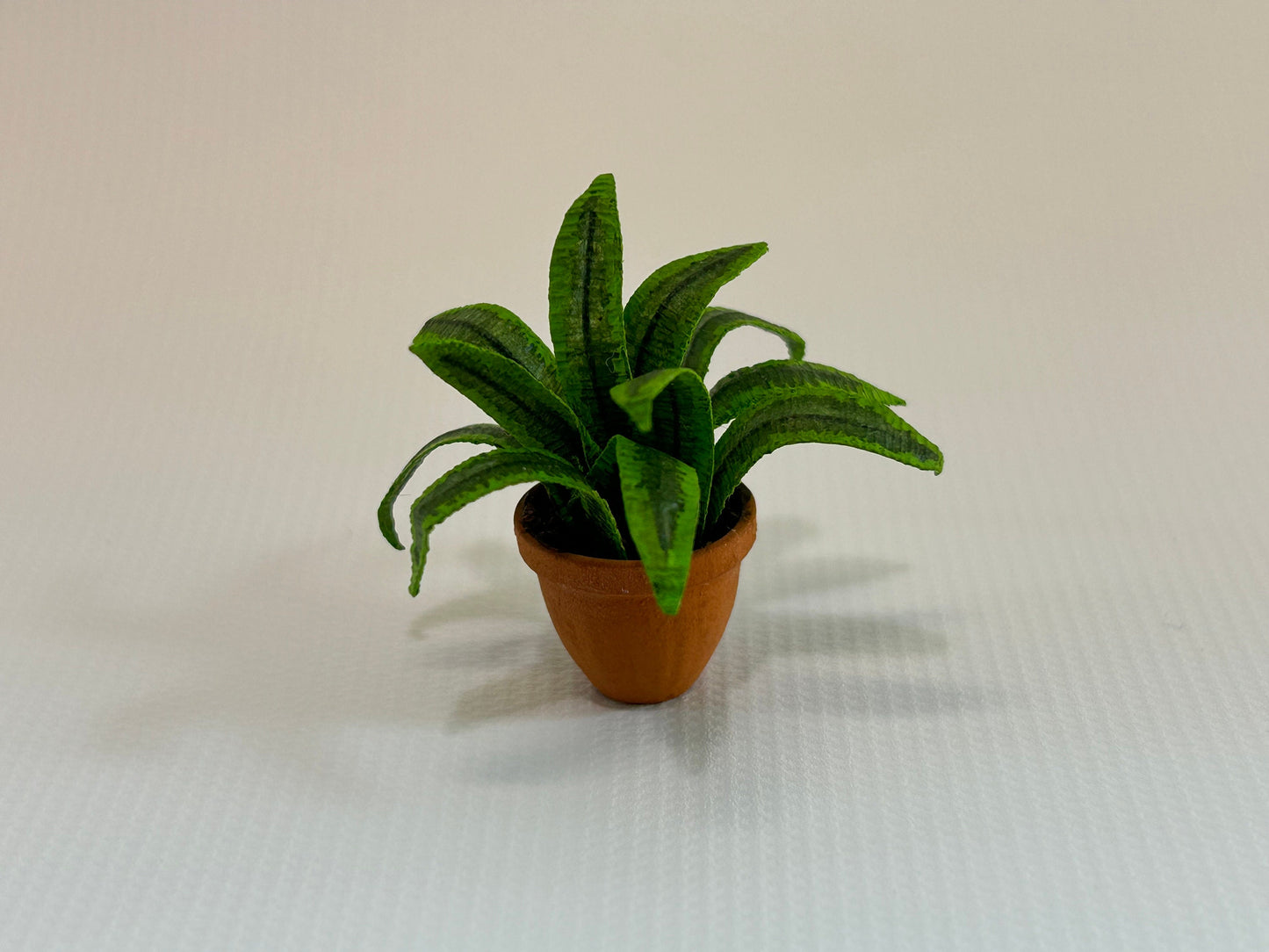 Handmade Dollhouse Miniature Plant Dracaena Lemon Lime Edges in Terra Cotta Pot Home Decor 1:12 Scale Artisan Made