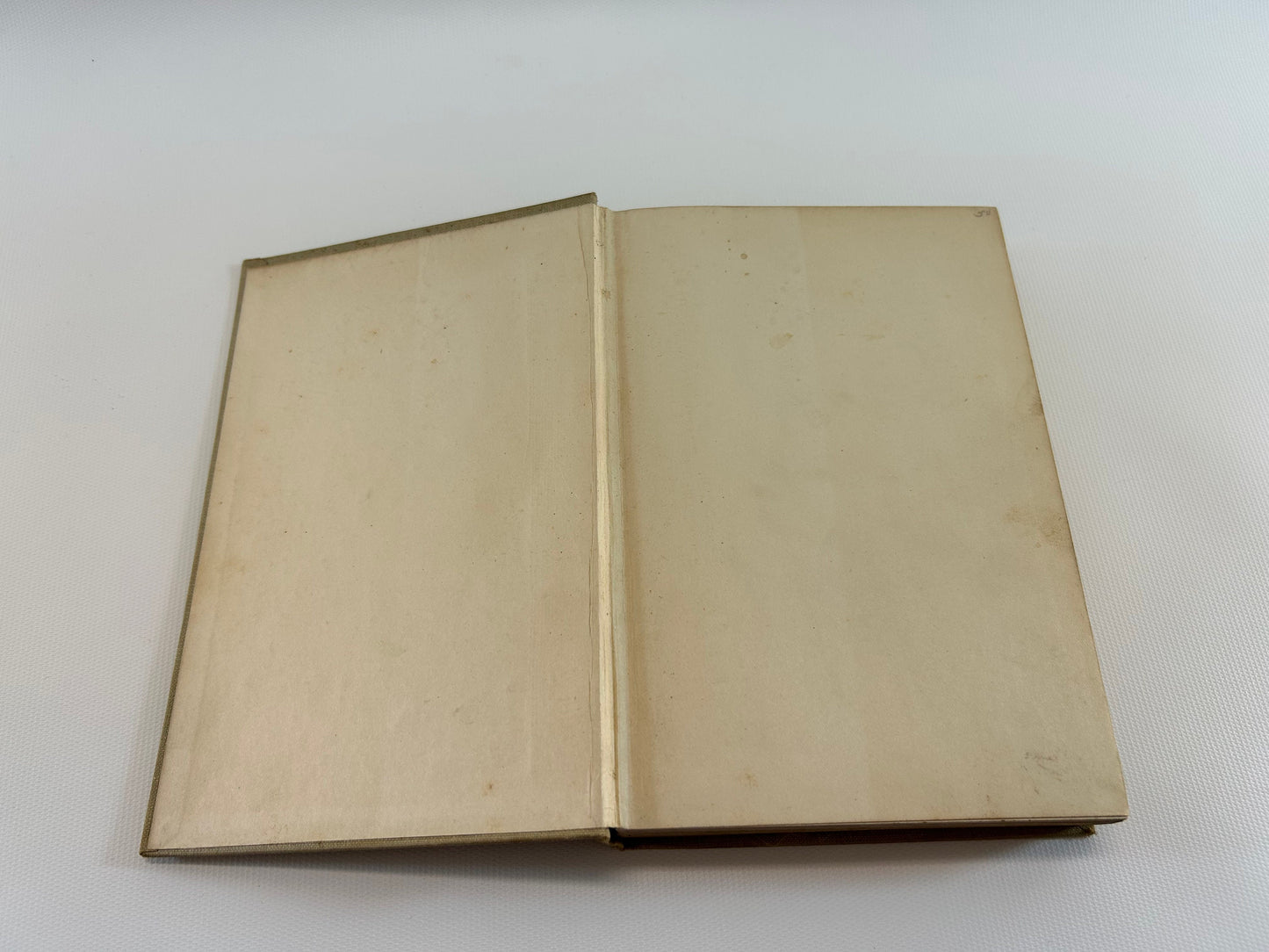 Antique Adventure Novel The Blazed Trail By Stewart Edward White Hardcover Illustrated Thomas Fogarty Copyright 1902