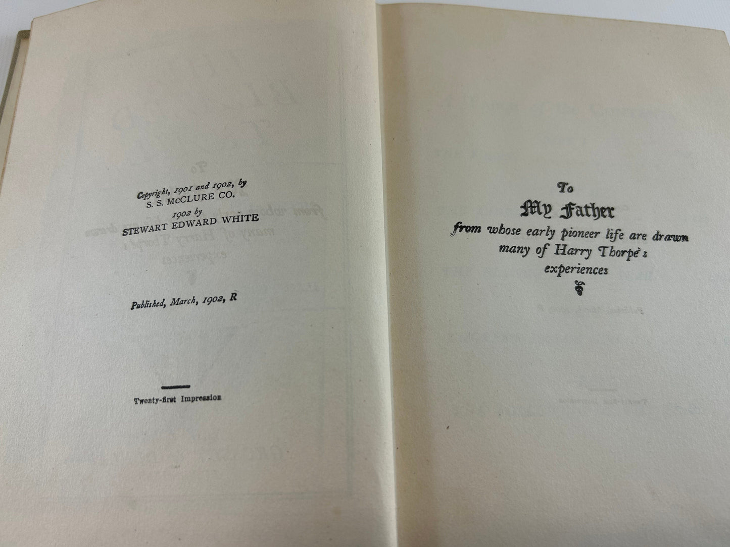 Antique Adventure Novel The Blazed Trail By Stewart Edward White Hardcover Illustrated Thomas Fogarty Copyright 1902