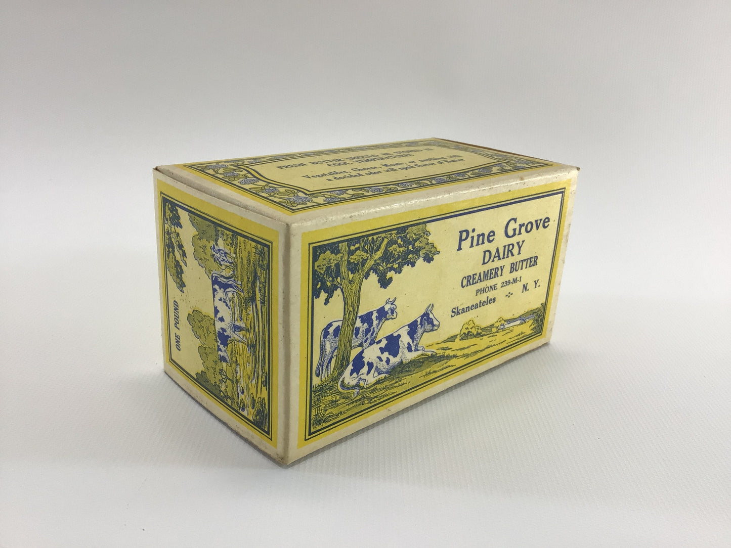 Pine Grove Dairy Creamery Butter 1 lb Box Vintage General Store Advertising Ephemera Country Kitchen Decor Skaneateles New York