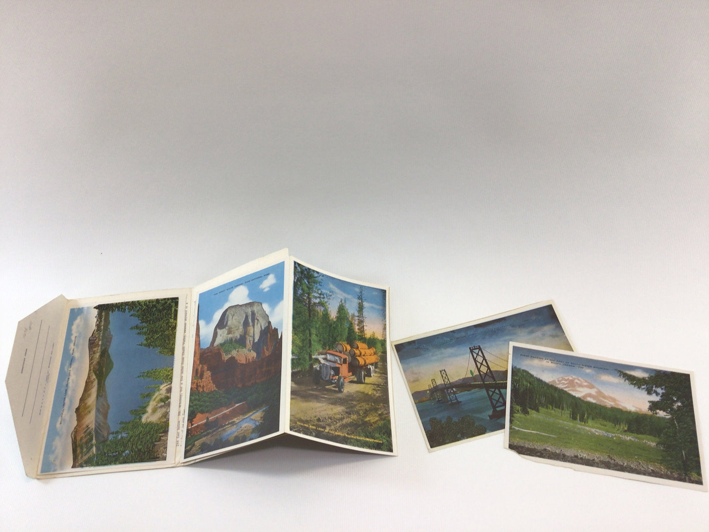 Greetings from The Scenic West Fold-Out Souvenir Postcard Vintage Collectible Paper Ephemera
