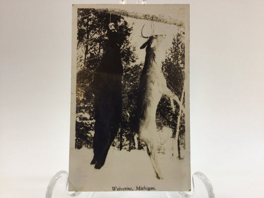 RPPC Real Photo Vintage Postcard Bear and Buck Hunting Wolverine Michigan