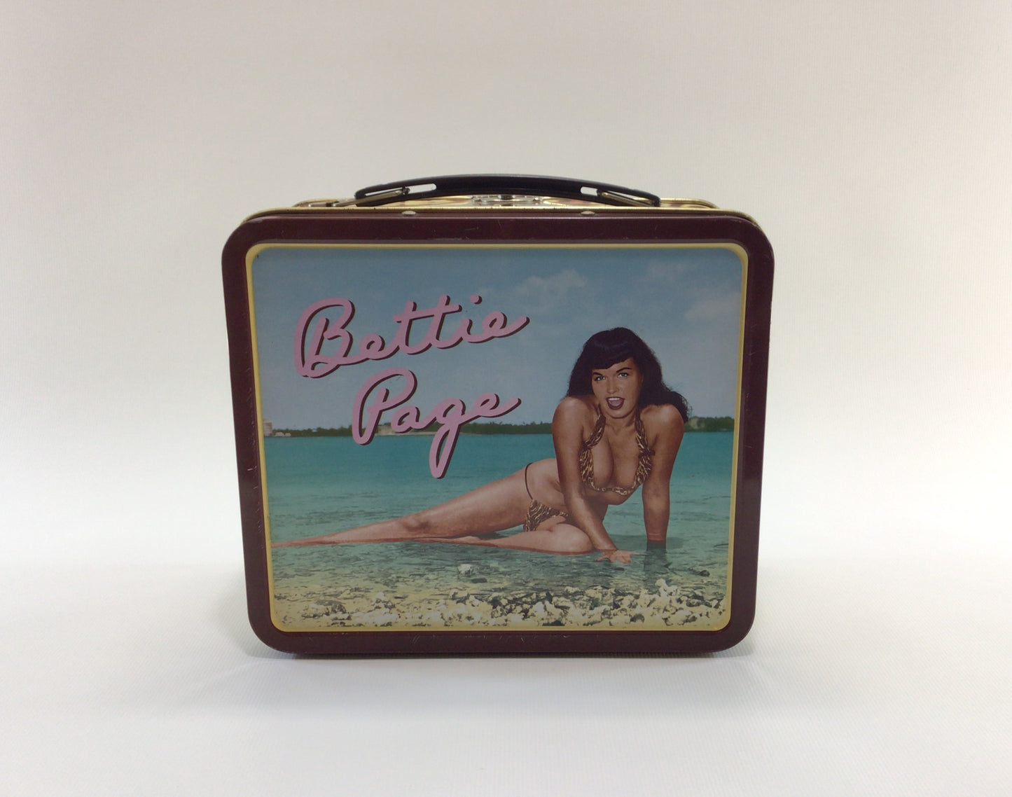 Betty Page Pin Up Girl Novelty Tin Lunchbox with Bunny Yeager Art Ephemera Pins Postcards Stickers