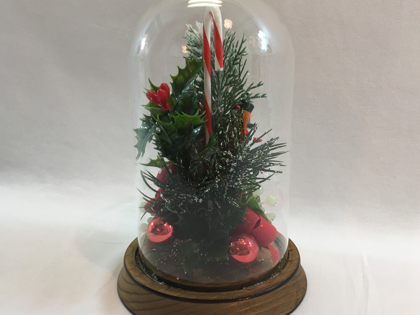 Snowman Holiday Glass Dome Table Top Christmas Home Decor