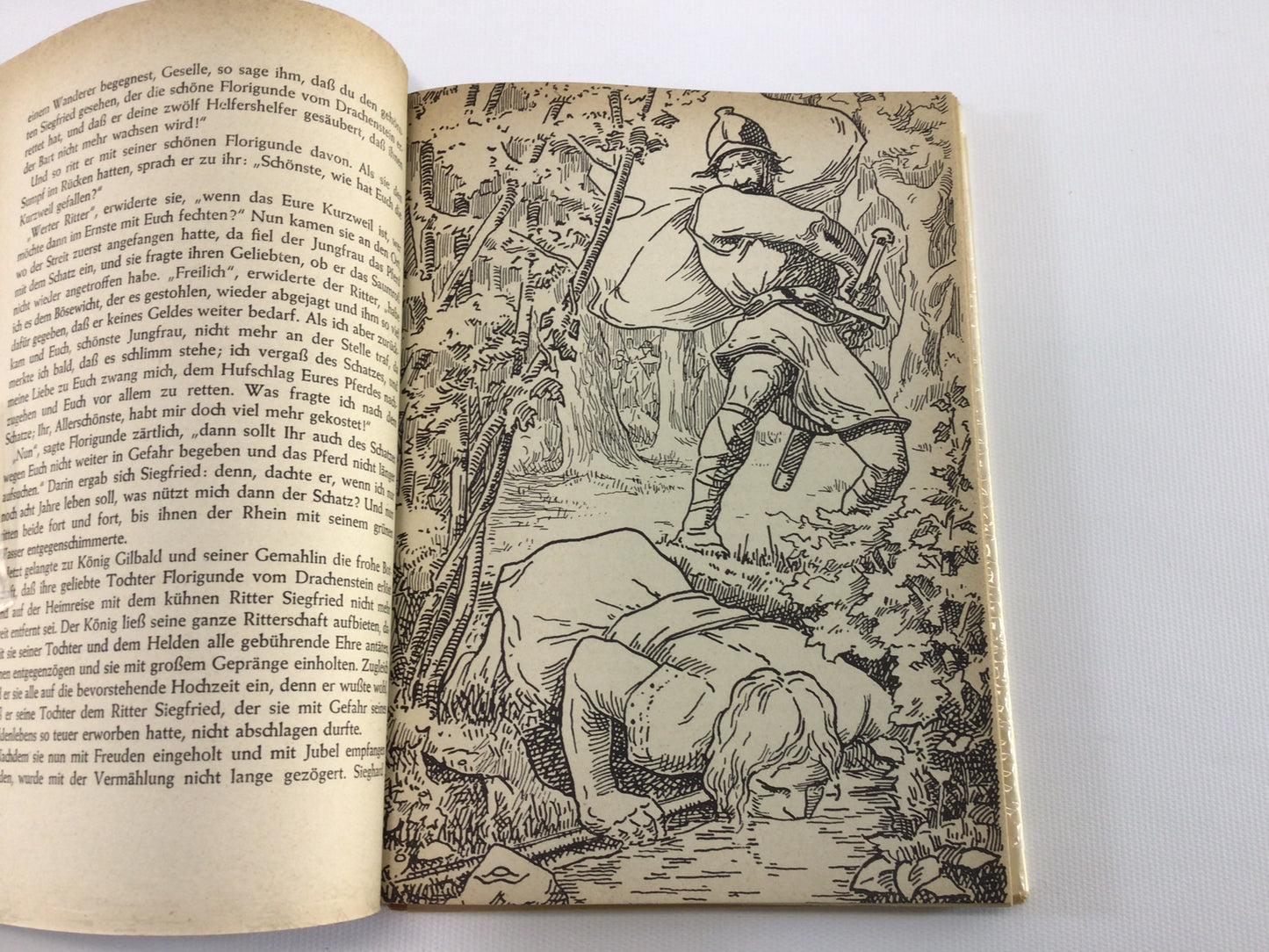 Rare Book Deutsche Dolfs und Heldensagen German Dolls and Heroes Sagas - Written in German