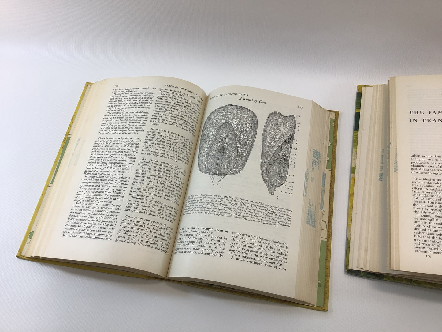 Agricultural Reference Yearbooks A Place to Live 1963 and Food 1959 Vintage Instructional Reading Materials