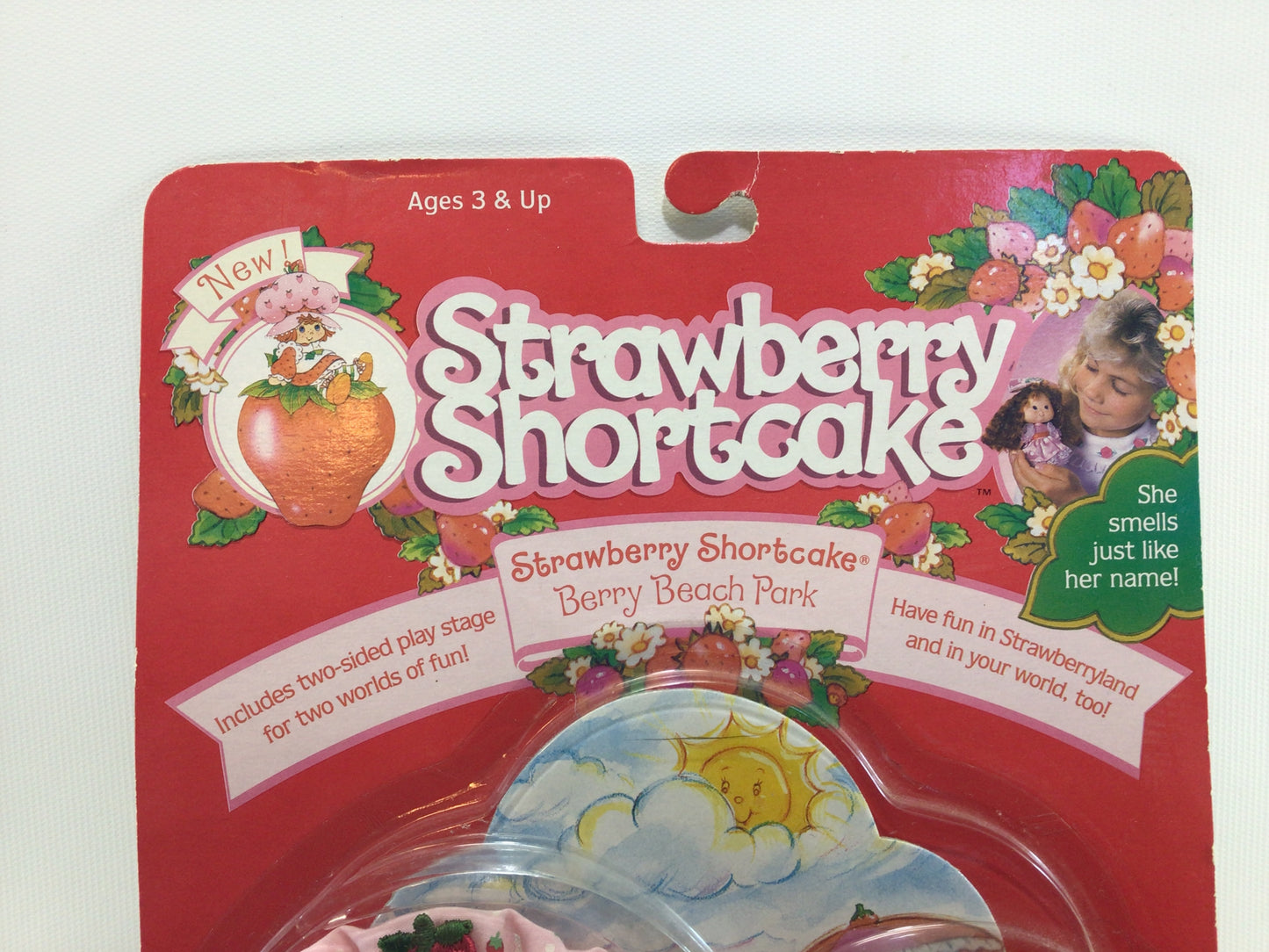 Strawberry Shortcake 1991 THQ Berry Beach Park Doll No 10002 on Card Vintage Collectible Toy