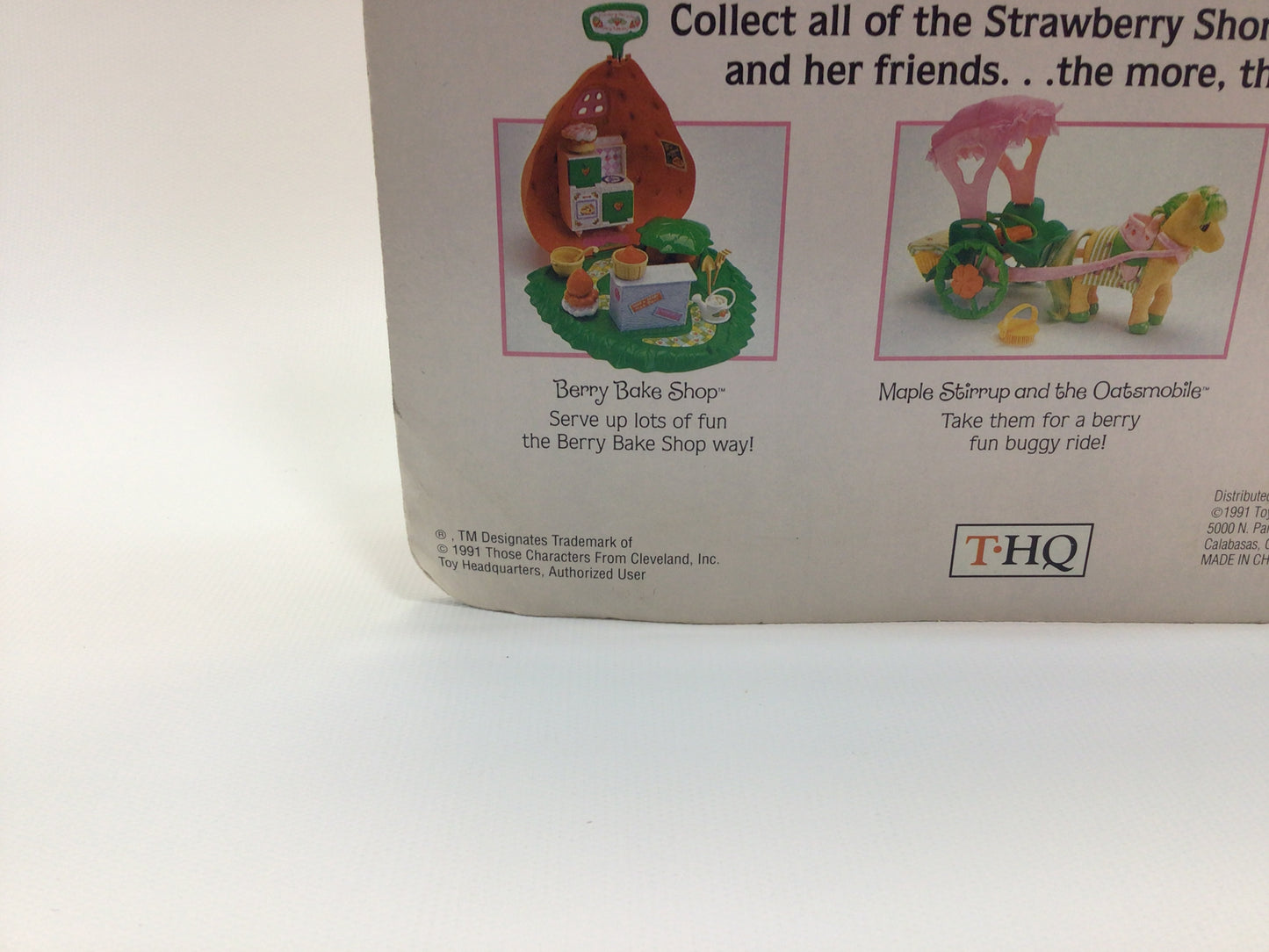 Strawberry Shortcake 1991 THQ Berry Beach Park Doll No 10002 on Card Vintage Collectible Toy