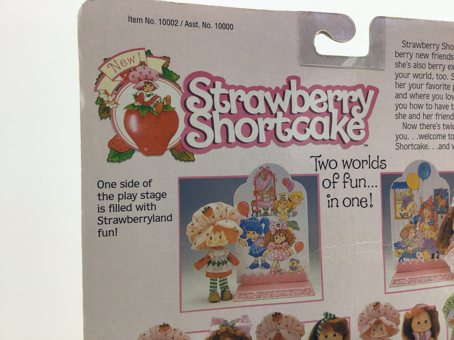 Strawberry Shortcake 1991 THQ Berry Beach Park Doll No 10002 on Card Vintage Collectible Toy