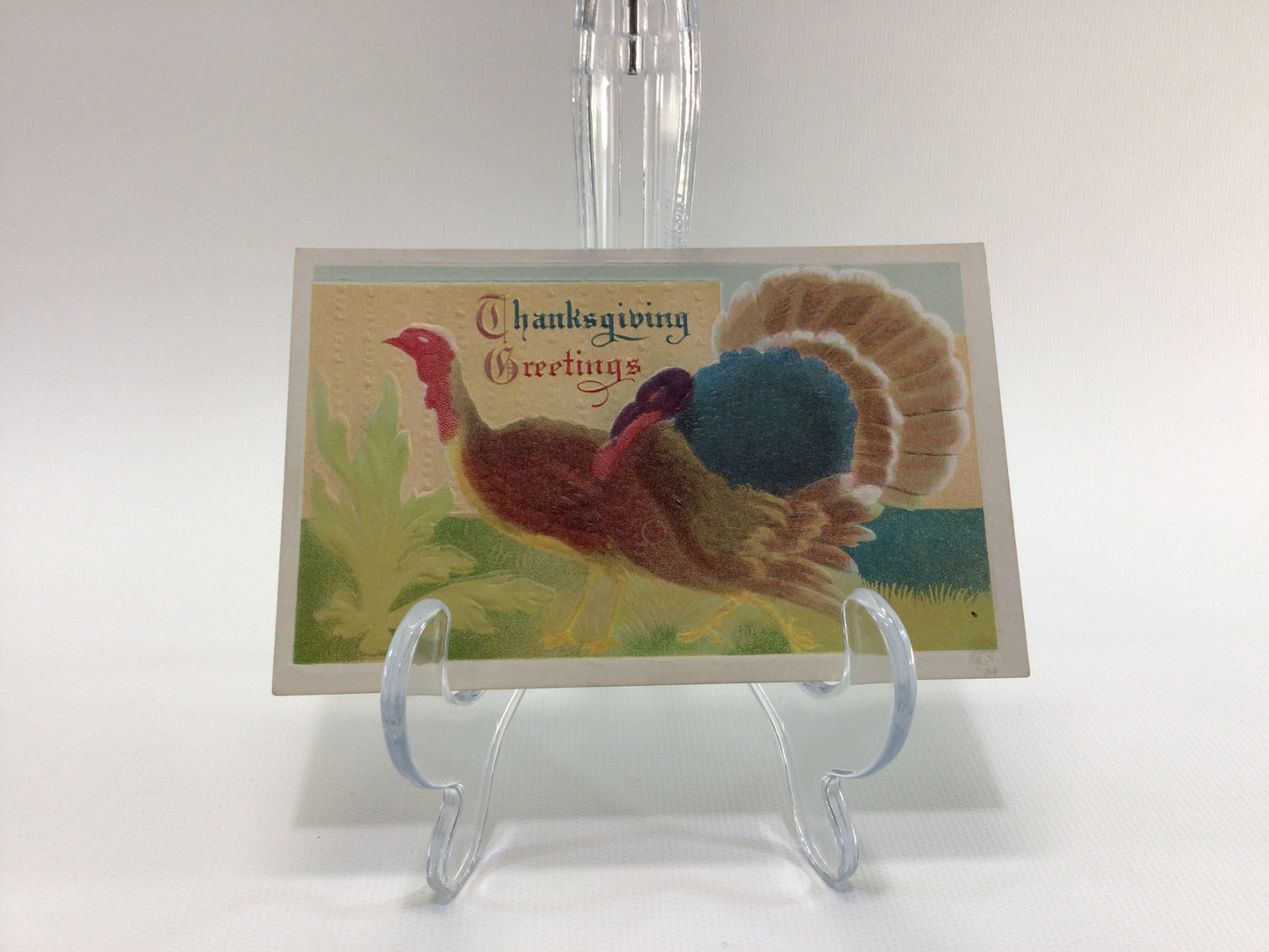 Antique Thanksgiving Novelty Postcard Embossed Airbrush Wild Turkeys in Field