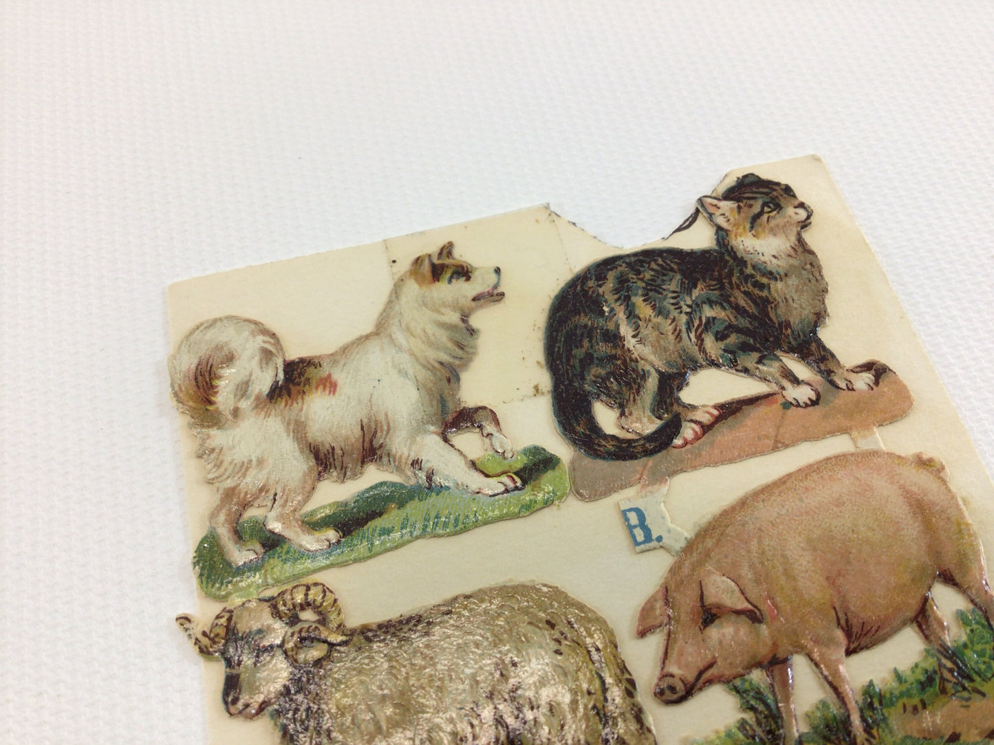 German Scrap Small Embossed Barn Yard Animals Antique Ephemera