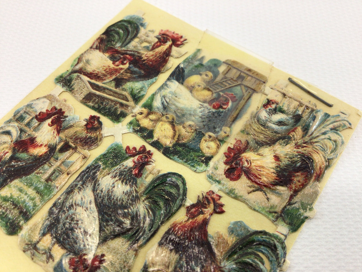 German Scrap Small Embossed Chickens and Roosters Antique Ephemera