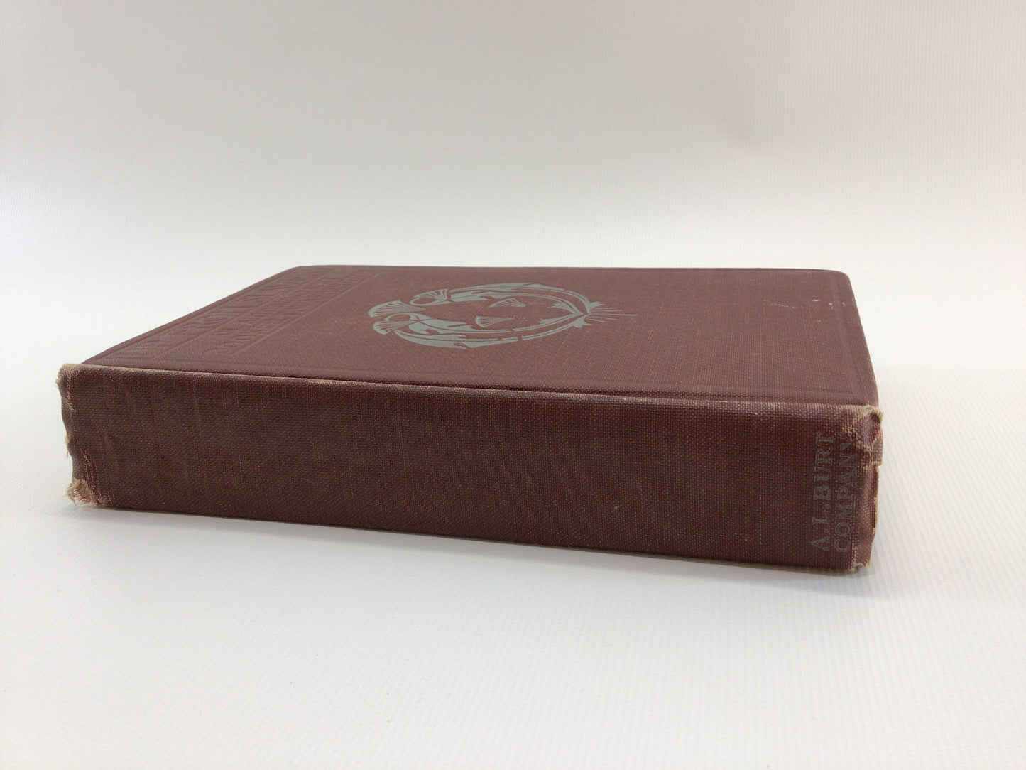 Antique Autobiography Hardcover Book Up From Slavery Copyright 1901 Booker T Washington