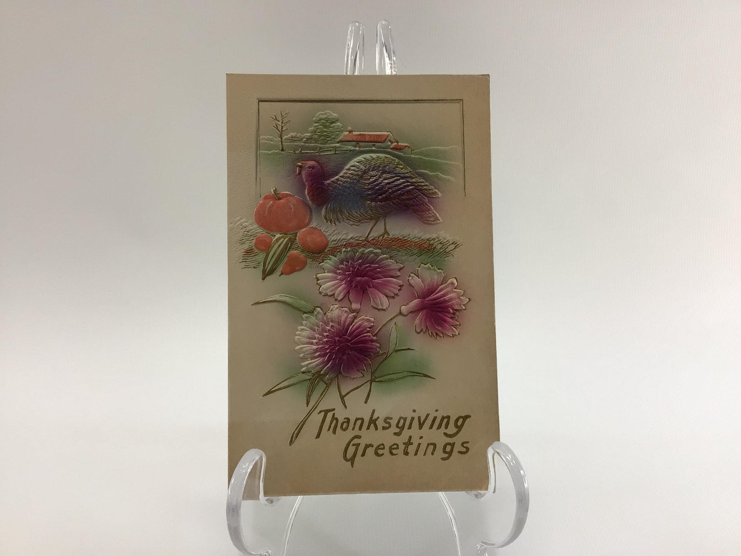 Antique Thanksgiving Novelty Postcard Embossed Airbrush Gold Gilt Wild Turkey in Pumpkin Patch