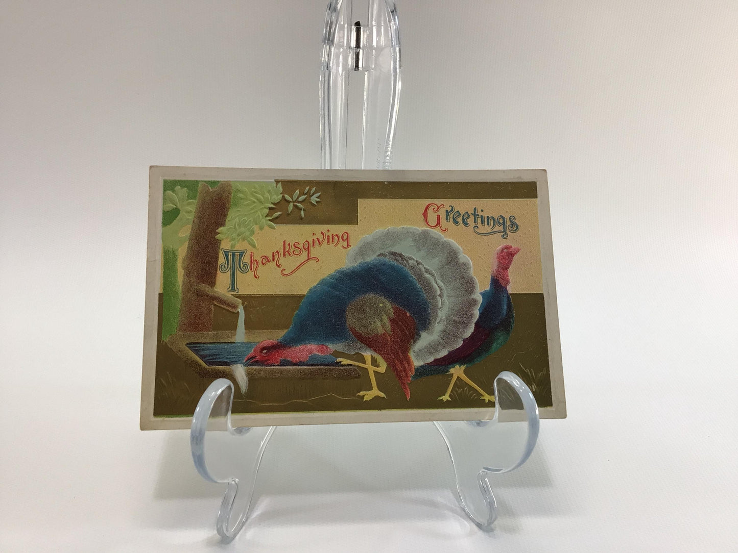 Antique Thanksgiving Novelty Postcard Embossed Airbrush Wild Turkeys Getting Water