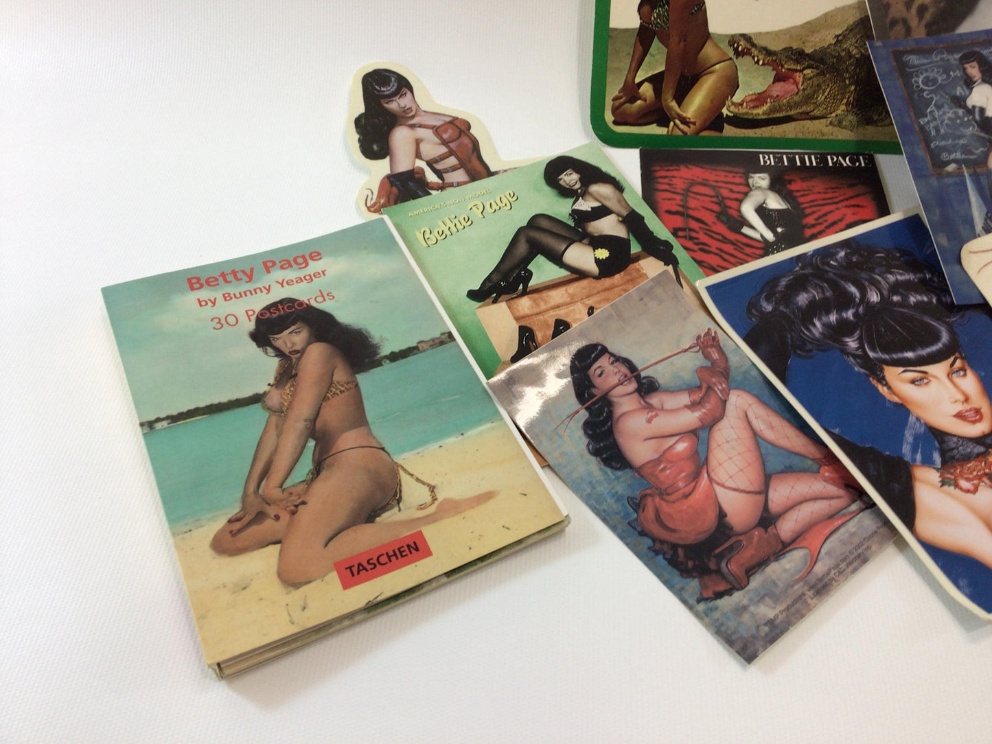 Betty Page Pin Up Girl Novelty Tin Lunchbox with Bunny Yeager Art Ephemera Pins Postcards Stickers