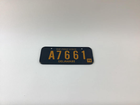 Bicycle 1975 Delaware License Plate Vintage Cycling Accessory The First State