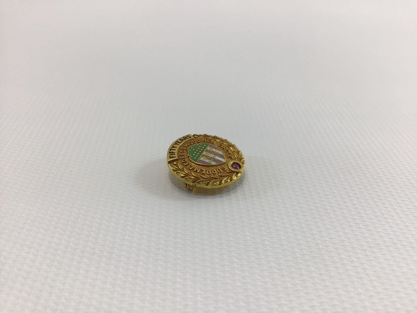 Vintage 10K Gold Filled Lapel Pin with Garnet 50 year Employee Service Award Woodmen Accident and Life