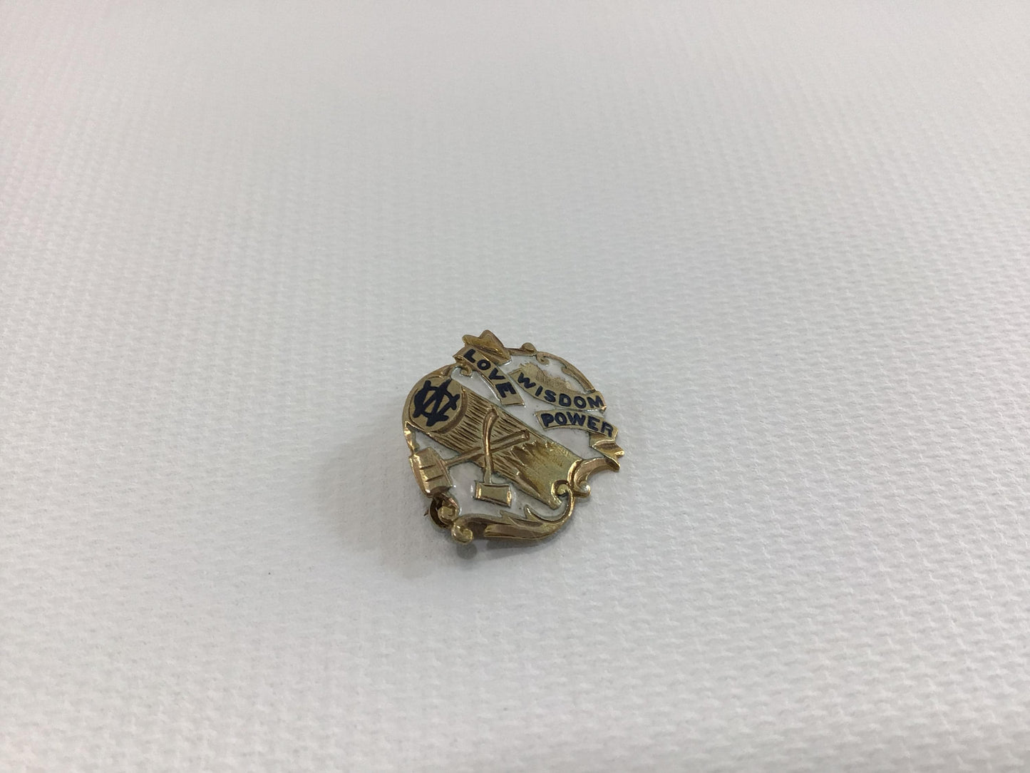 Vintage Enameled Lapel Pin Employee Service Award Woodmen Circle Love Wisdom Power