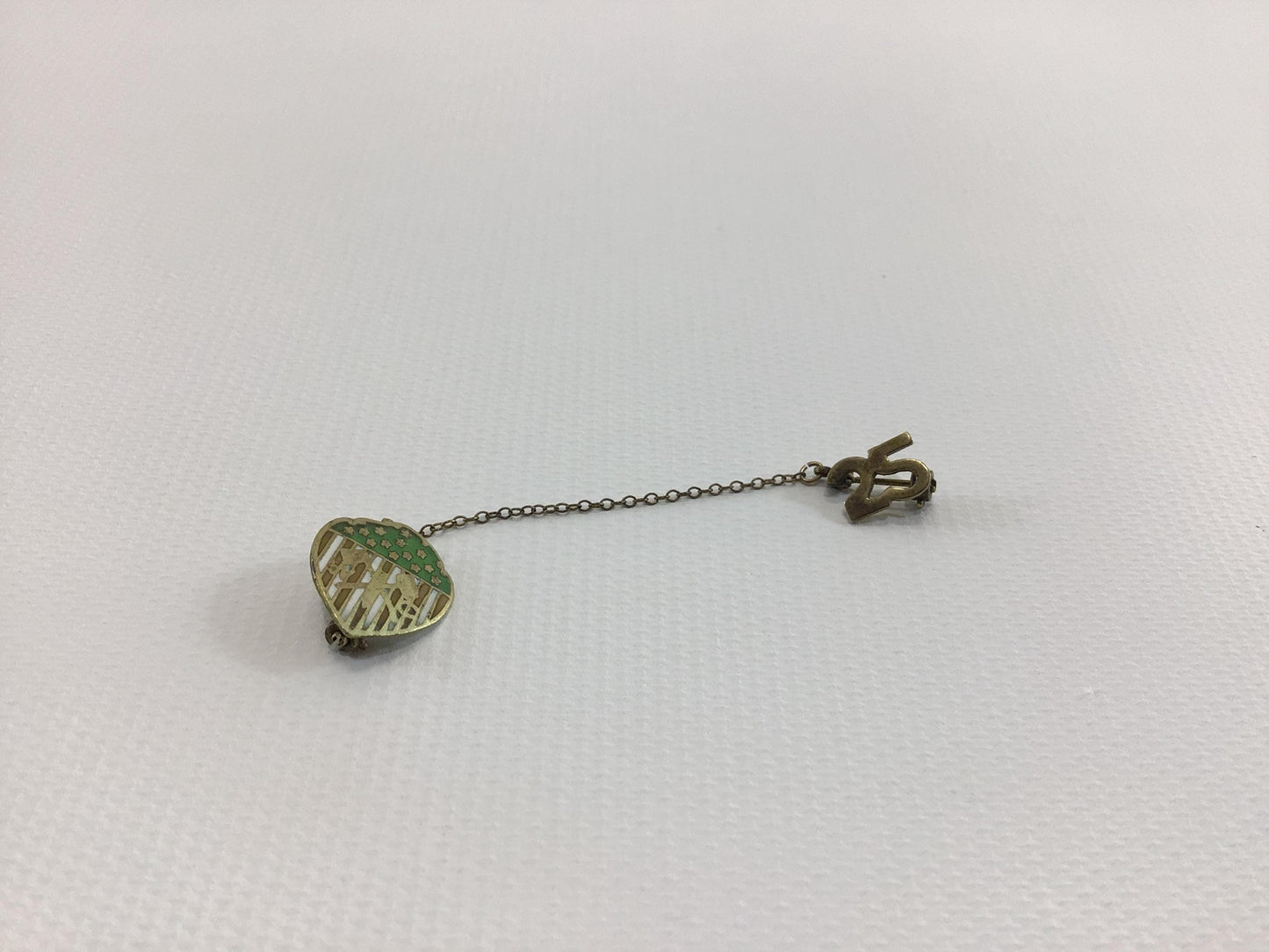 Vintage Enameled Sweater Pin 25 year Employee Service Award Woodmen Circle Lincoln Nebraska